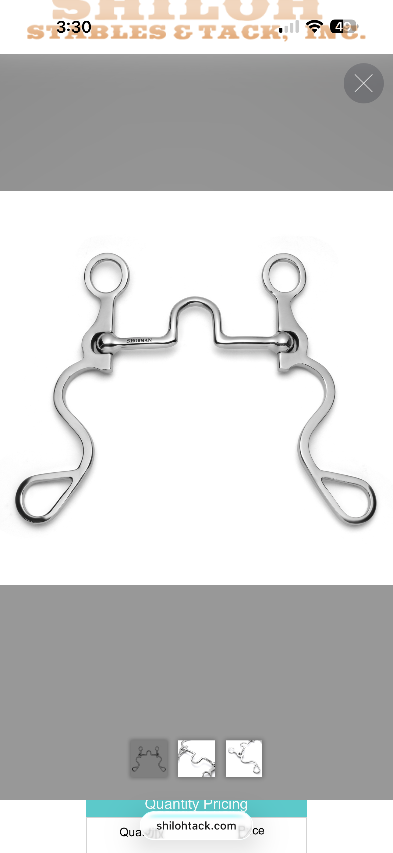 S Shank tongue relief bit