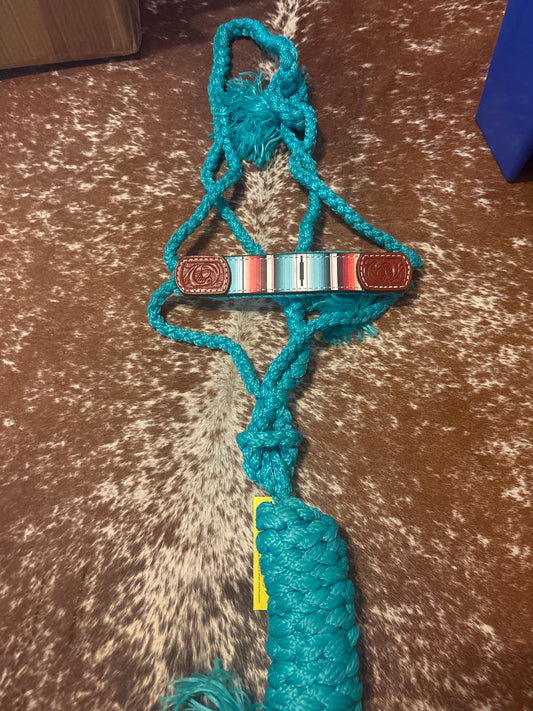 Teal and Southwest Muletape Halter