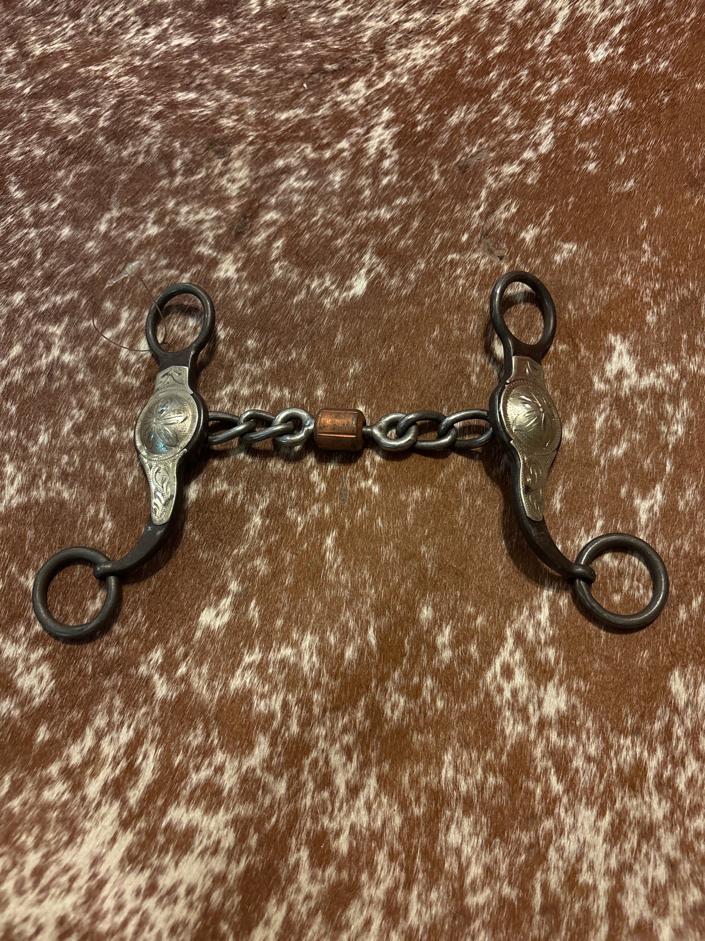 5” Chain Mouth Swivel Concho Bit