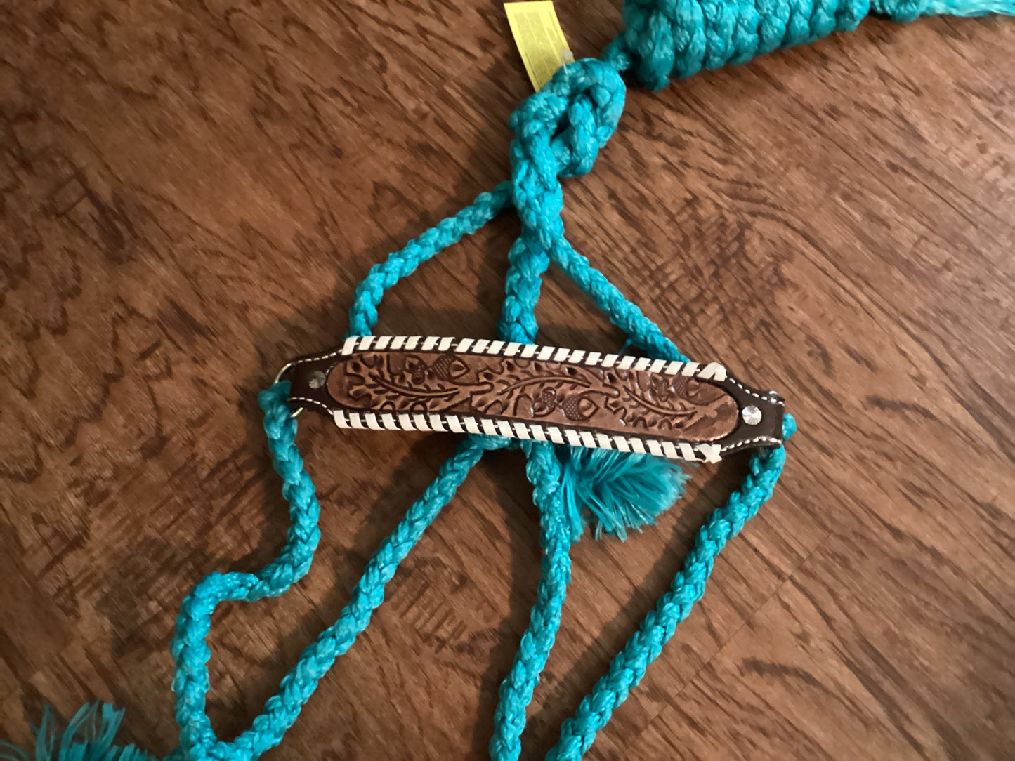 Turquoise Mule Tape Halter with Leather Noseband