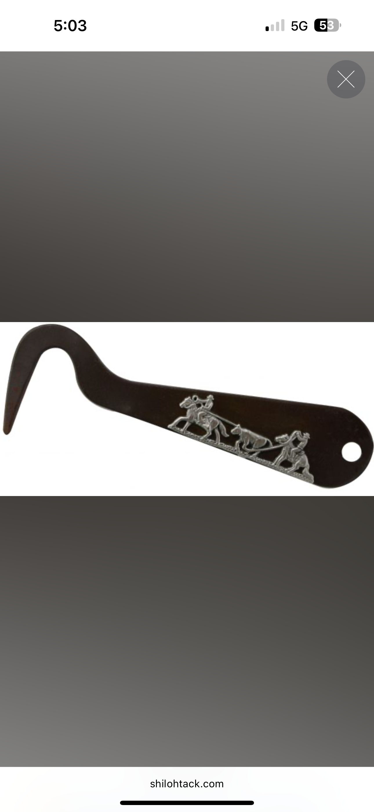 Team Roping Metal Hoof Pick