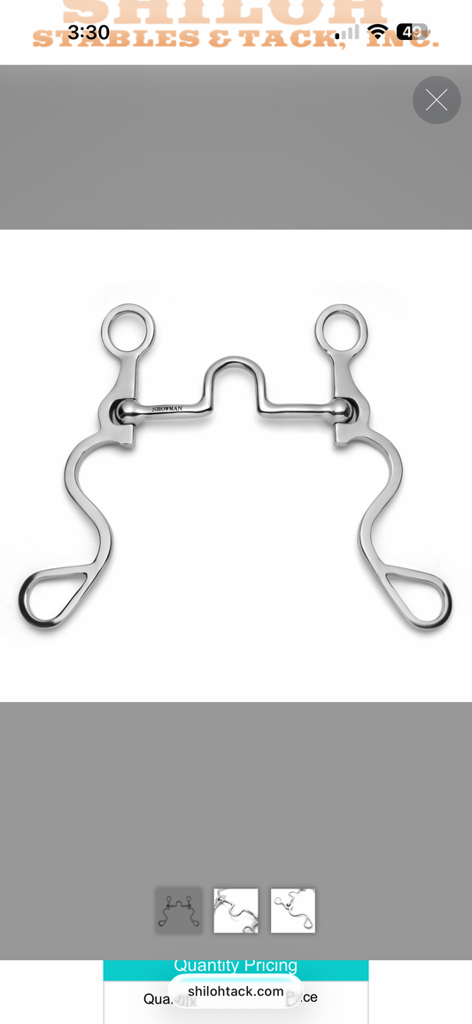 S Shank tongue relief bit